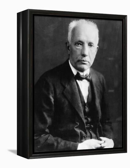 Richard Strauss-null-Framed Premier Image Canvas