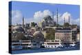 Stretched Canvas Print