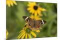 Premium Photographic Print