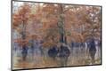 Photographic Print