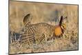 Premium Photographic Print