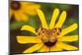 Premium Photographic Print