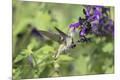 Premium Photographic Print