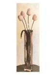 Pink Tulips in a Glass Vase-Richard Sutton-Stretched Canvas