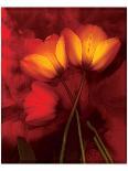 Tulip Fiesta in Red and Yellow I-Richard Sutton-Art Print