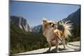 Premium Photographic Print
