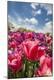 Premium Photographic Print