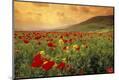 Premium Photographic Print