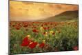 Photographic Print