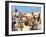 Richard the Lionheart Arriving at Acre-Escott-Framed Giclee Print