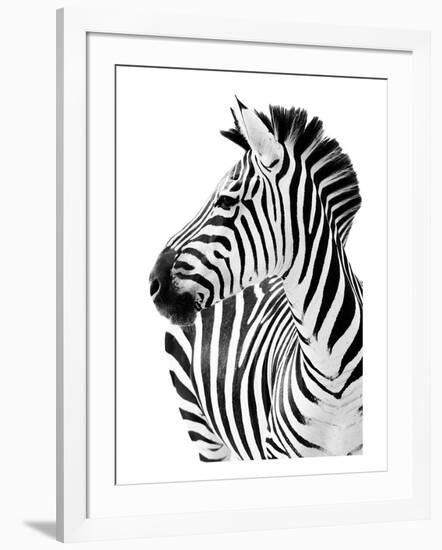 Richard The Zebra-null-Framed Premium Giclee Print