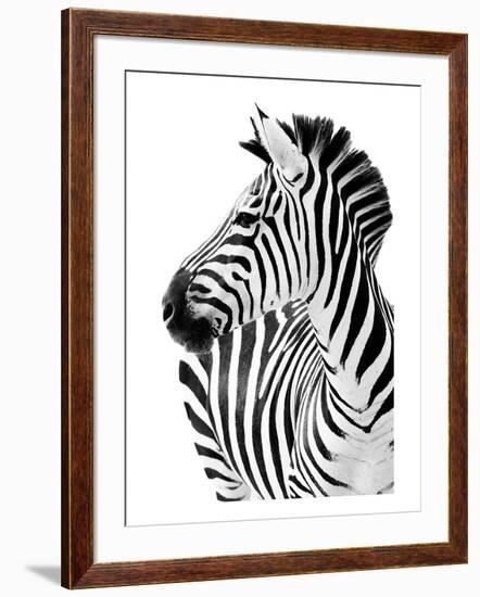 Richard The Zebra-null-Framed Premium Giclee Print