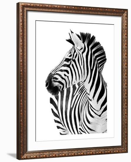 Richard The Zebra-null-Framed Premium Giclee Print