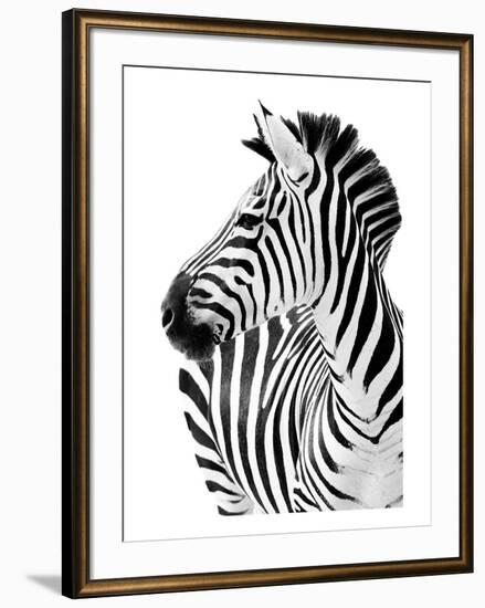 Richard The Zebra-null-Framed Premium Giclee Print