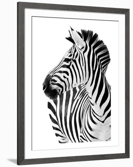 Richard The Zebra-null-Framed Premium Giclee Print