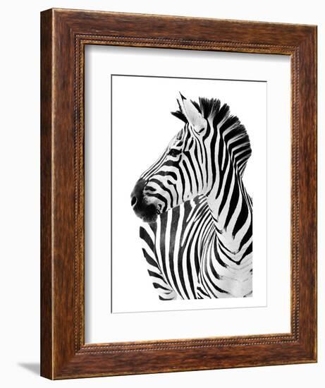 Richard The Zebra-null-Framed Art Print