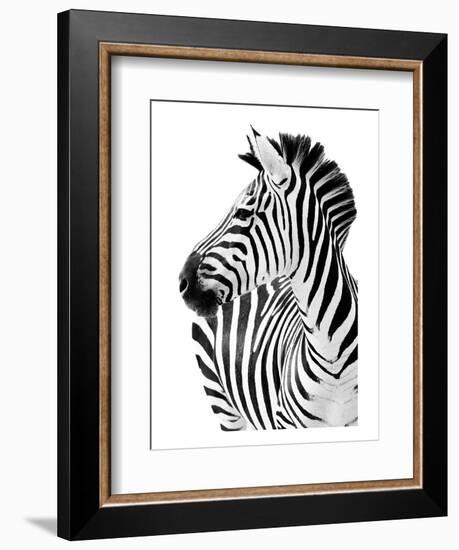 Richard The Zebra-null-Framed Art Print