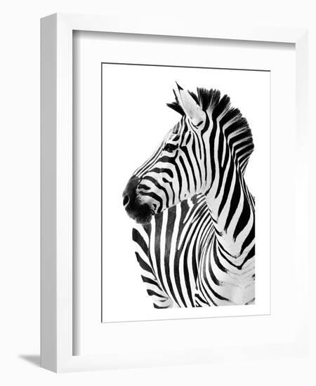 Richard The Zebra-null-Framed Art Print