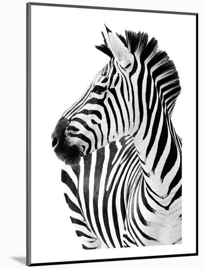 Richard The Zebra-null-Mounted Art Print