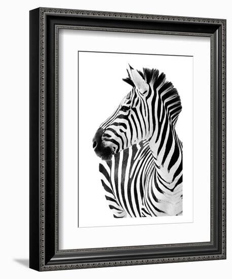 Richard The Zebra-null-Framed Art Print