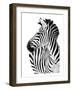 Richard The Zebra-null-Framed Art Print