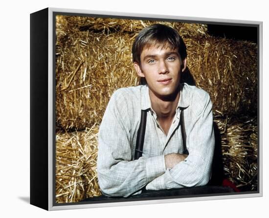 Richard Thomas - The Waltons-null-Framed Stretched Canvas