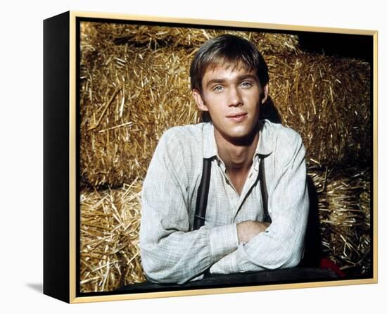 Richard Thomas - The Waltons-null-Framed Stretched Canvas