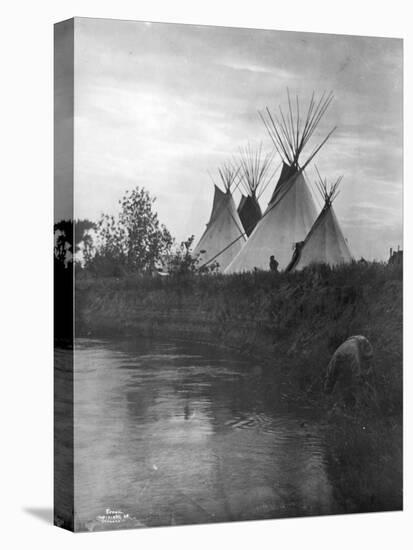 Stretched Canvas Print, , large