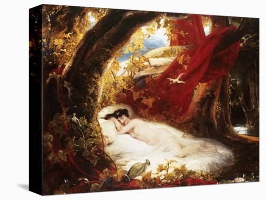 Stretched Canvas Print, , large