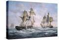 Stretched Canvas Print