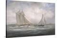 Stretched Canvas Print