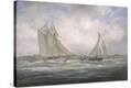 Stretched Canvas Print
