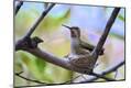 Photographic Print