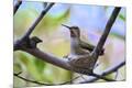 Premium Photographic Print