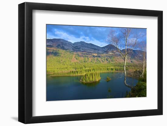 Photographic Print, , large