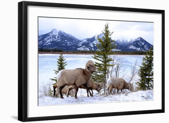 Photographic Print, , large
