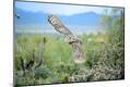 Photographic Print