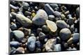 Premium Photographic Print
