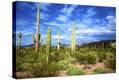 Stretched Canvas Print