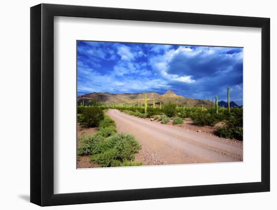 Photographic Print, , large