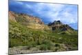 Photographic Print