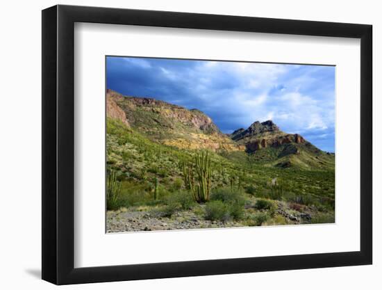 Photographic Print, , large