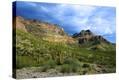 Stretched Canvas Print
