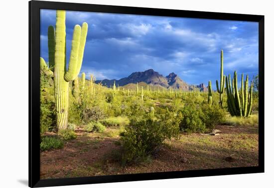 Photographic Print, , large