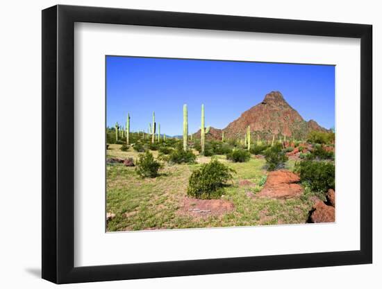 Photographic Print, , large