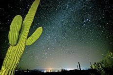 Stary Sky with Saguaro Cactus over Organ Pipe Cactus Nm, Arizona-Richard Wright-Photographic Print