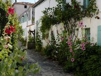 Hollyhocks Lining a Street with a Well, La Flotte, Ile De Re, Charente-Maritime, France, Europe-Richardson Peter-Photographic Print