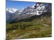 Photographic Print