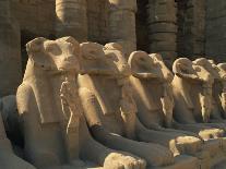 Ram-Headed Sphinxes of the Processional Avenue, at the Temple of Karnak, Thebes, Egypt-Richardson Rolf-Photographic Print