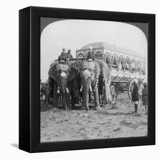 Richly Adorned Elephants and Carriage of the Maharaja of Rewa at the Delhi Durbar, India, 1903-Underwood & Underwood-Framed Premier Image Canvas